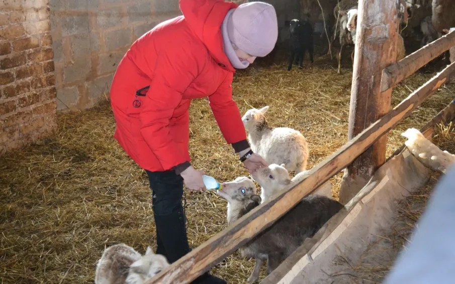 Более 365 миллионов рублей будет направлено на поддержку фермерских хозяйств и сельхозкооперативов в Нижегородской области в 2026 году